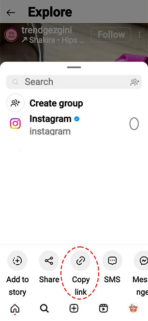 instagram video downloader step4