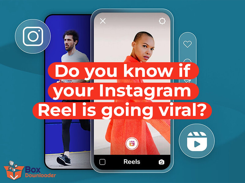 How to know if your Instagram Reel is going viral? BoxDownloader Blog