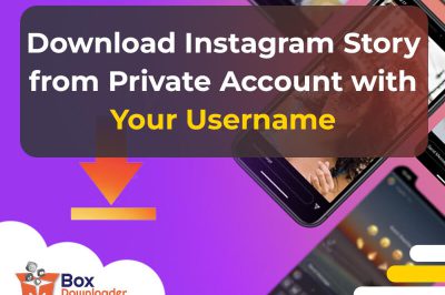Discover how to download Instagram stories from private accounts using only your username. Never miss a moment again!