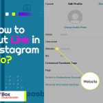 How to Put Link in Instagram Bio