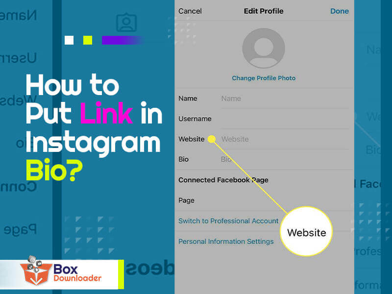 How to Put Link in Instagram Bio? BoxDownloader Blog
