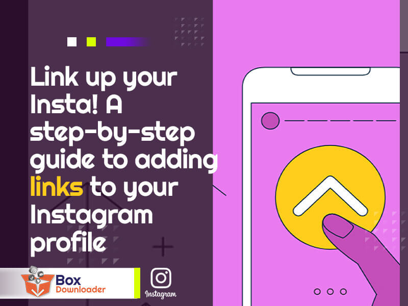 How to Put Link in Instagram Bio? BoxDownloader Blog