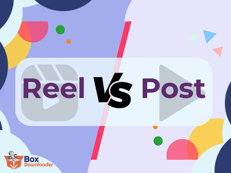What Are the Difference between Reel and Post? Reels vs. Posts