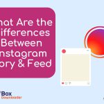 What Are the Differences Between Instagram Story & Feed