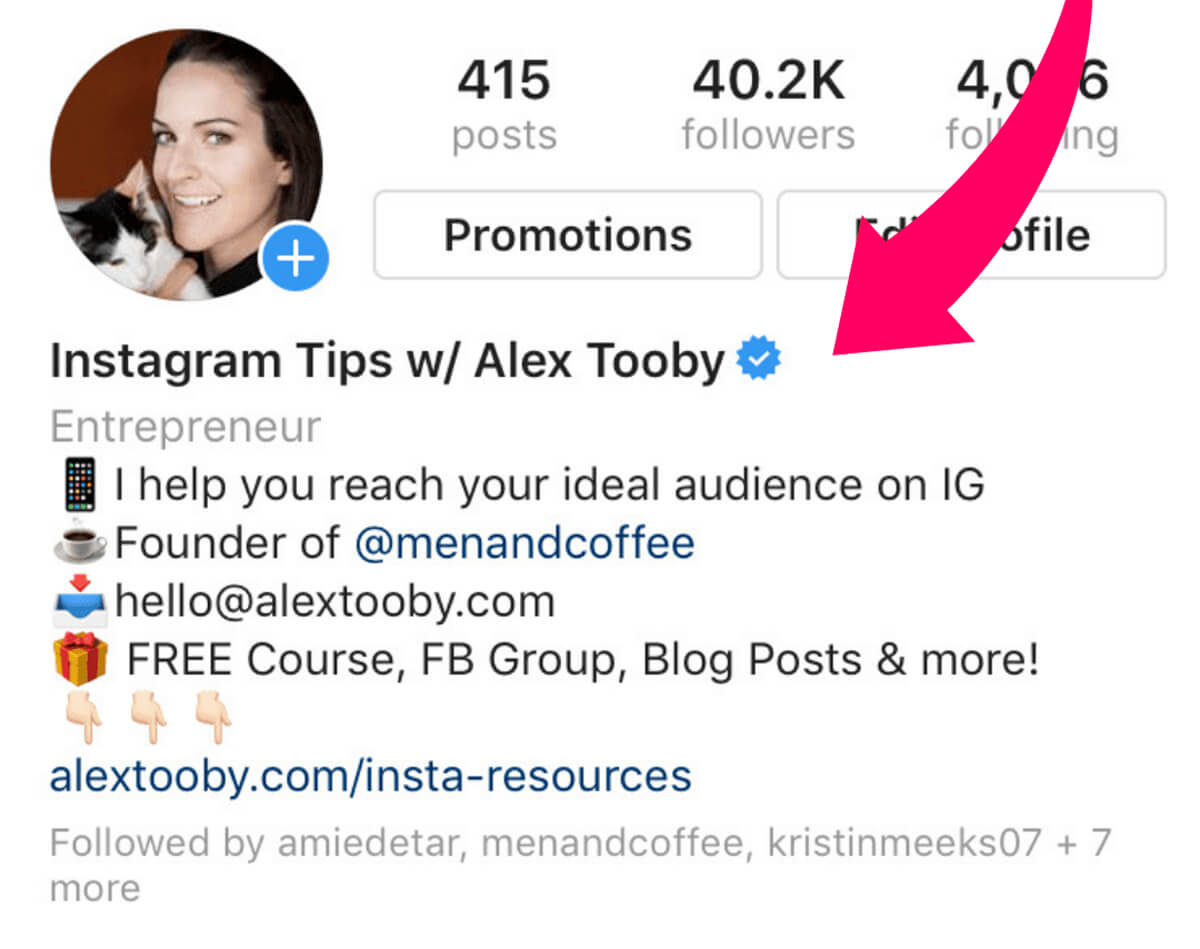 How to Put Link in Instagram Bio? BoxDownloader Blog